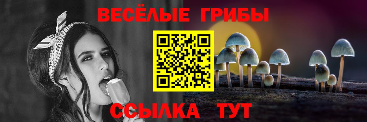 Красногорск  Галлюциногенные грибы Psilocybe  Вход с VPN 